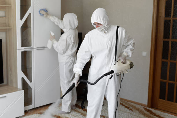 Mold Odor Removal Services in London, CA